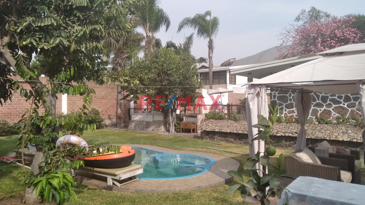 Gran Oportunidad De Vivir En La Molina. Se Vende Casa Con Excelente Ubicación. - 3