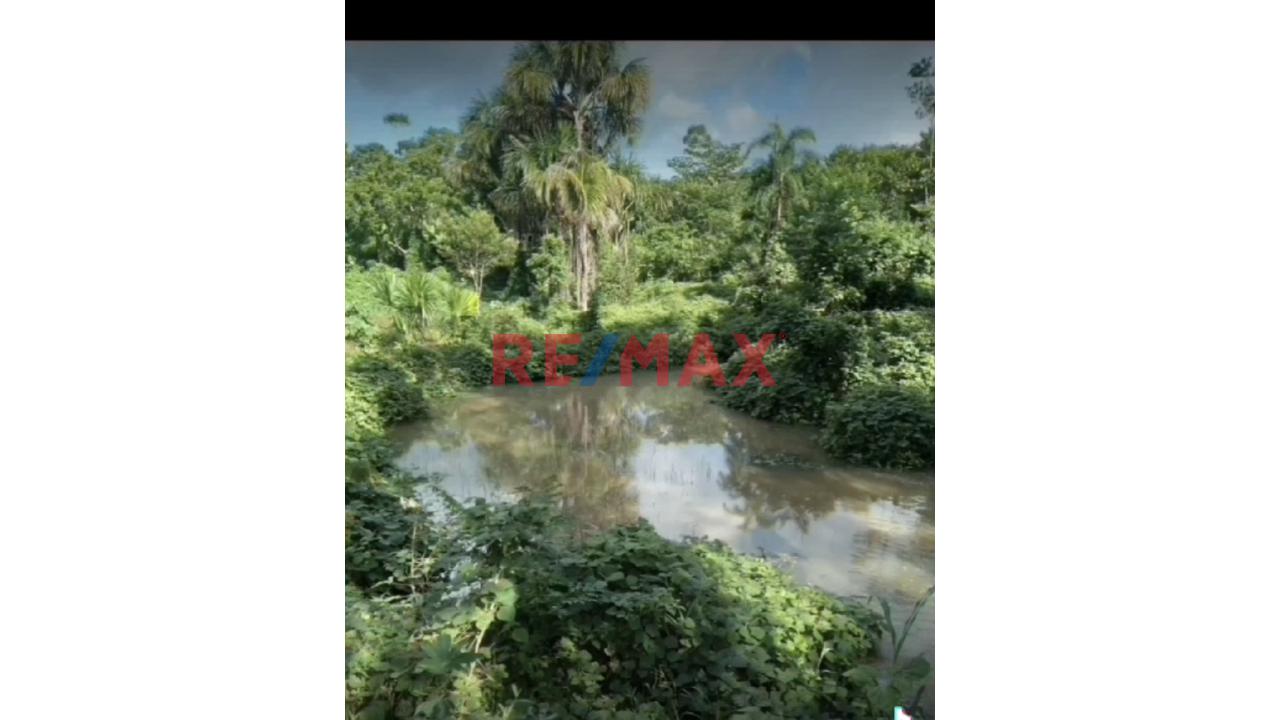 Oportunidad Única: Terreno De 8,975 M2, Con Ojo De Agua Natural En Varillal, Iquitos - 9