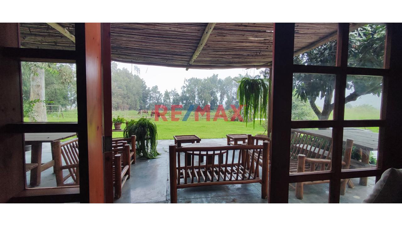 Excelente Inversión- Venta De Terreno En Cieneguilla (1 Hectarea) — foto 5