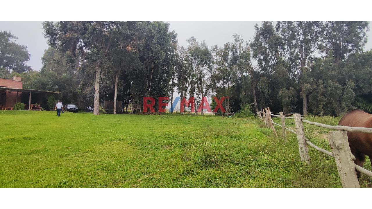 Excelente Inversión- Venta De Terreno En Cieneguilla (1 Hectarea) — foto 9