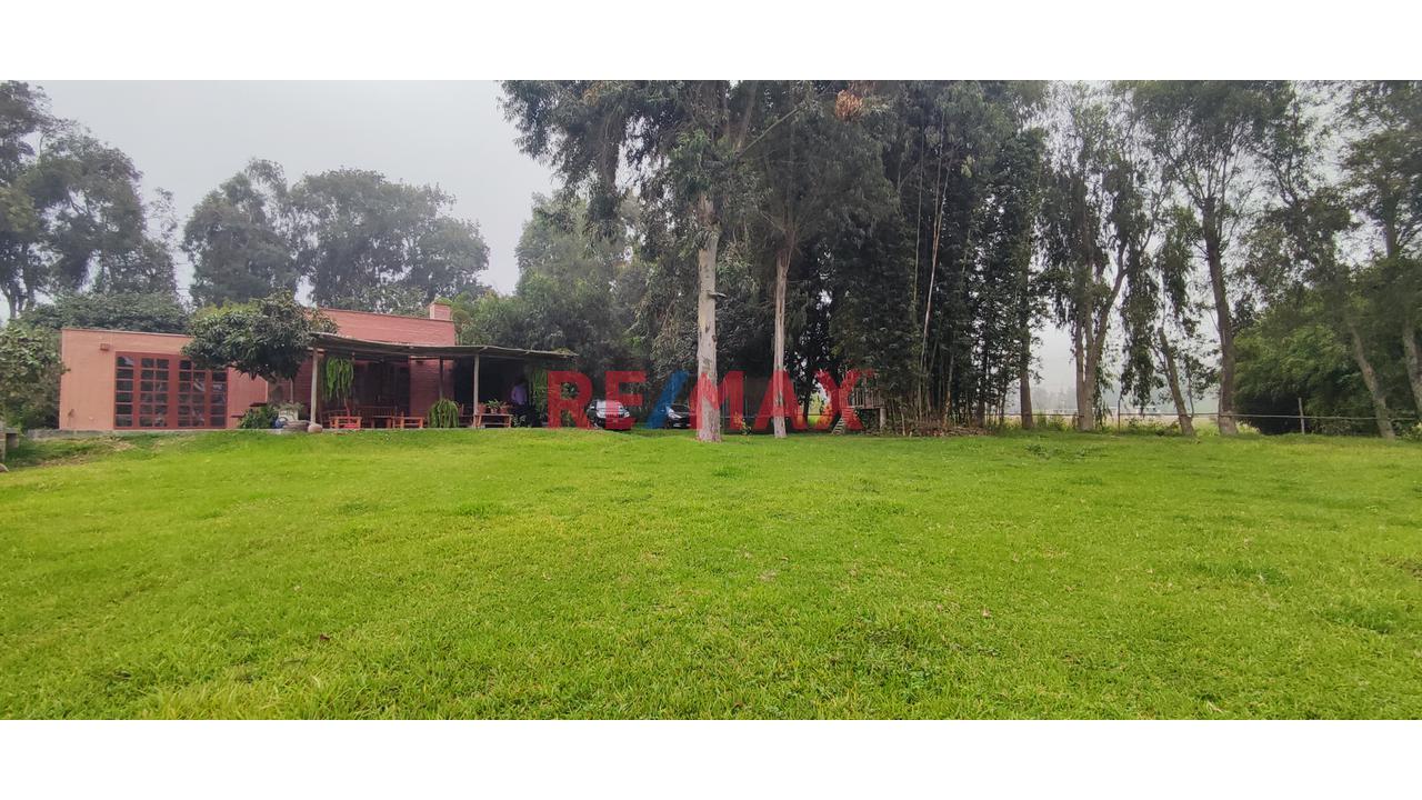 Excelente Inversión- Venta De Terreno En Cieneguilla (1 Hectarea) — foto 2