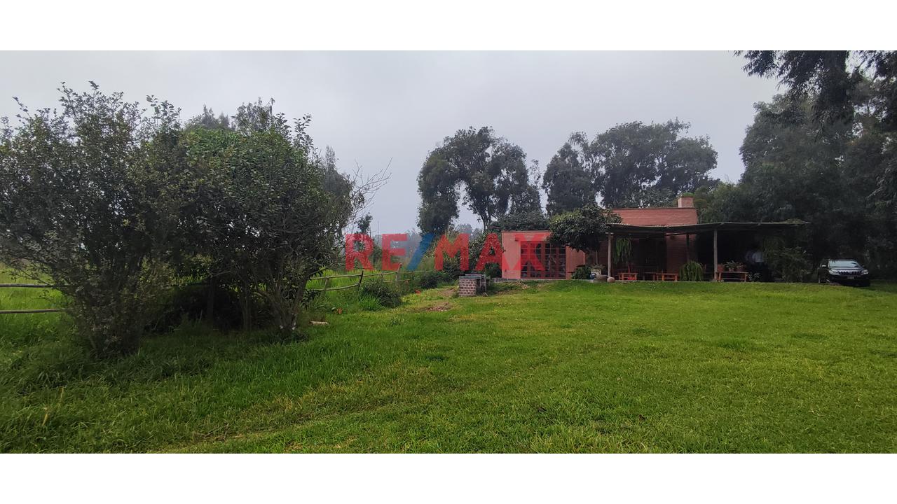 Excelente Inversión- Venta De Terreno En Cieneguilla (1 Hectarea) — foto 11