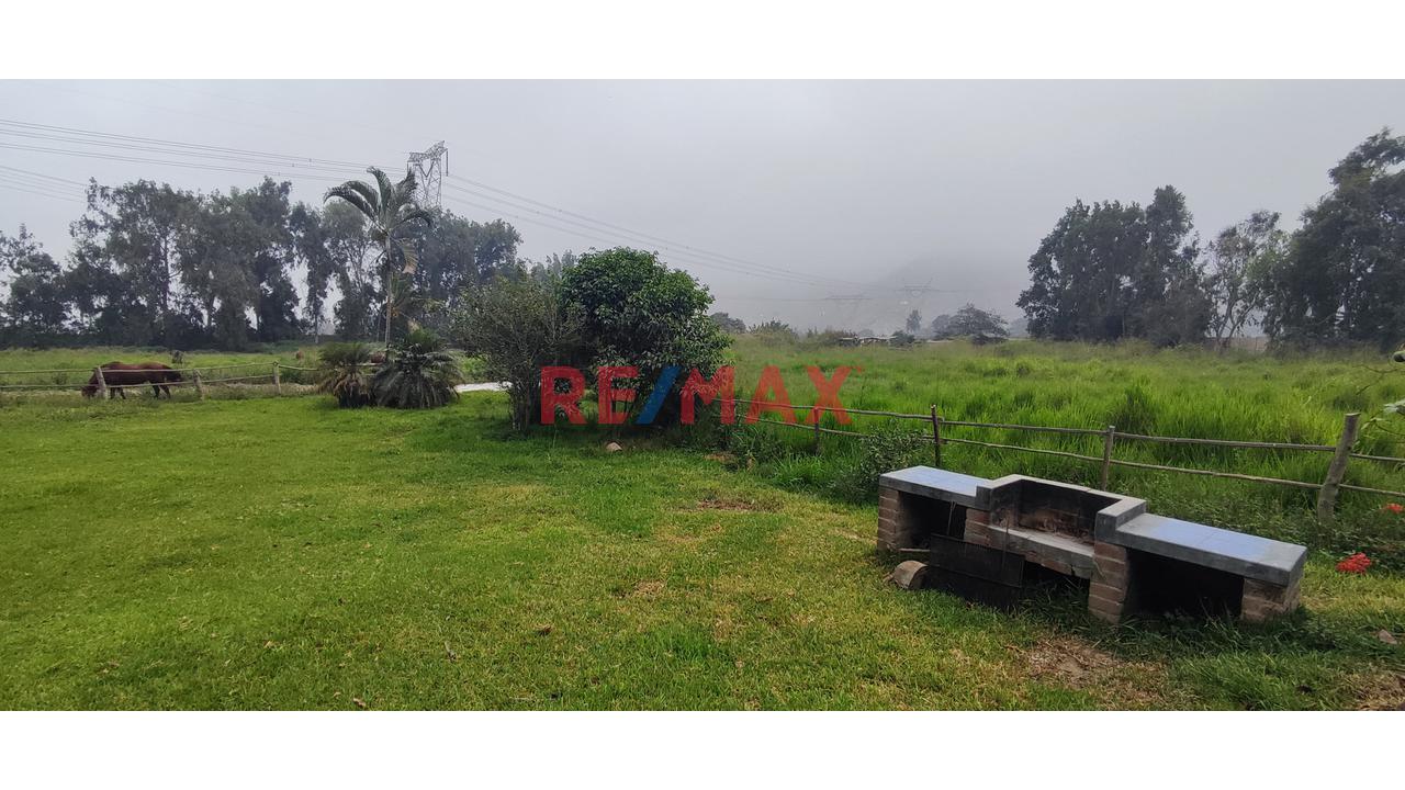 Excelente Inversión- Venta De Terreno En Cieneguilla (1 Hectarea) — foto 13