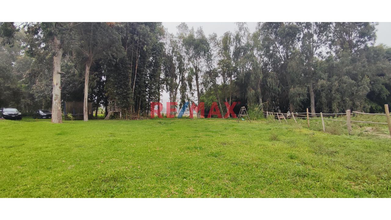 Excelente Inversión- Venta De Terreno En Cieneguilla (1 Hectarea) — foto 4