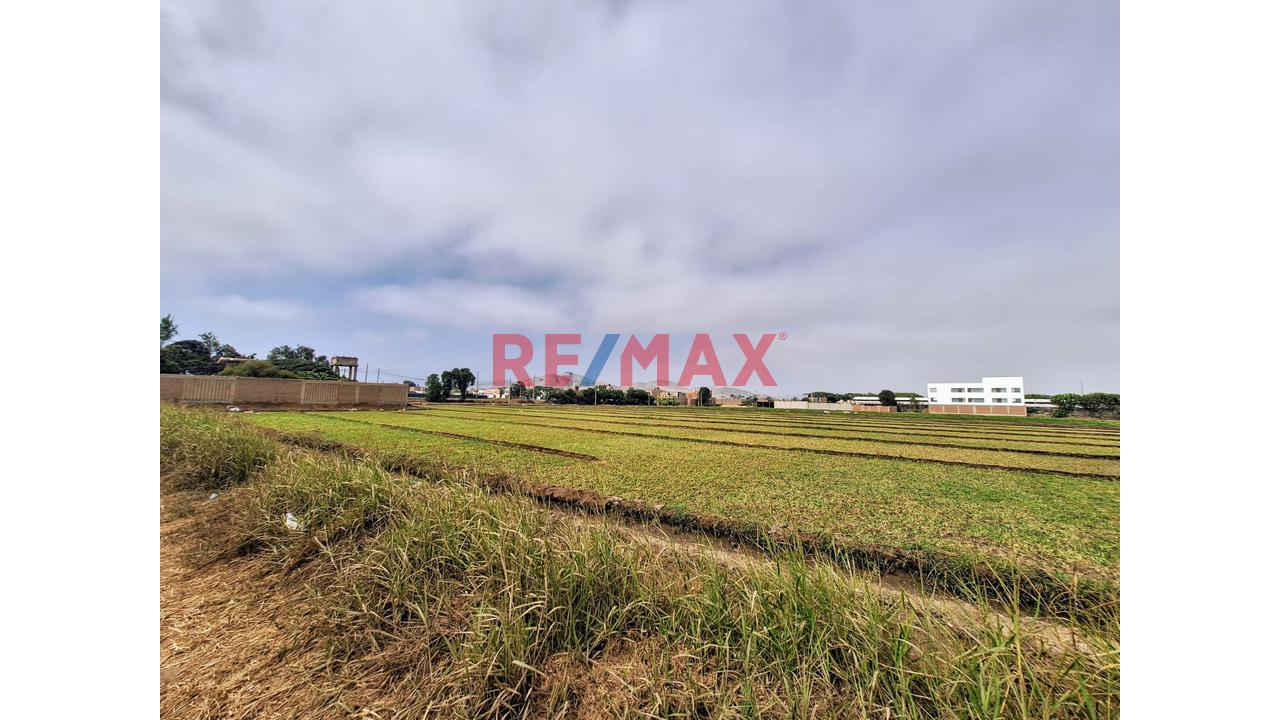 Vendo Terreno  Fundo Agricola Y/ O Industrial En Lurin — foto 9