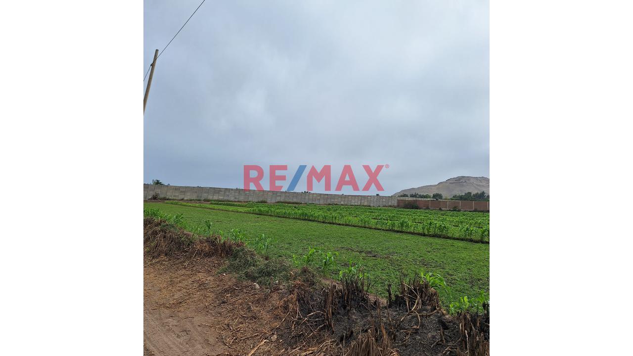 Vendo Terreno  Fundo Agricola Y/ O Industrial En Lurin — foto 7