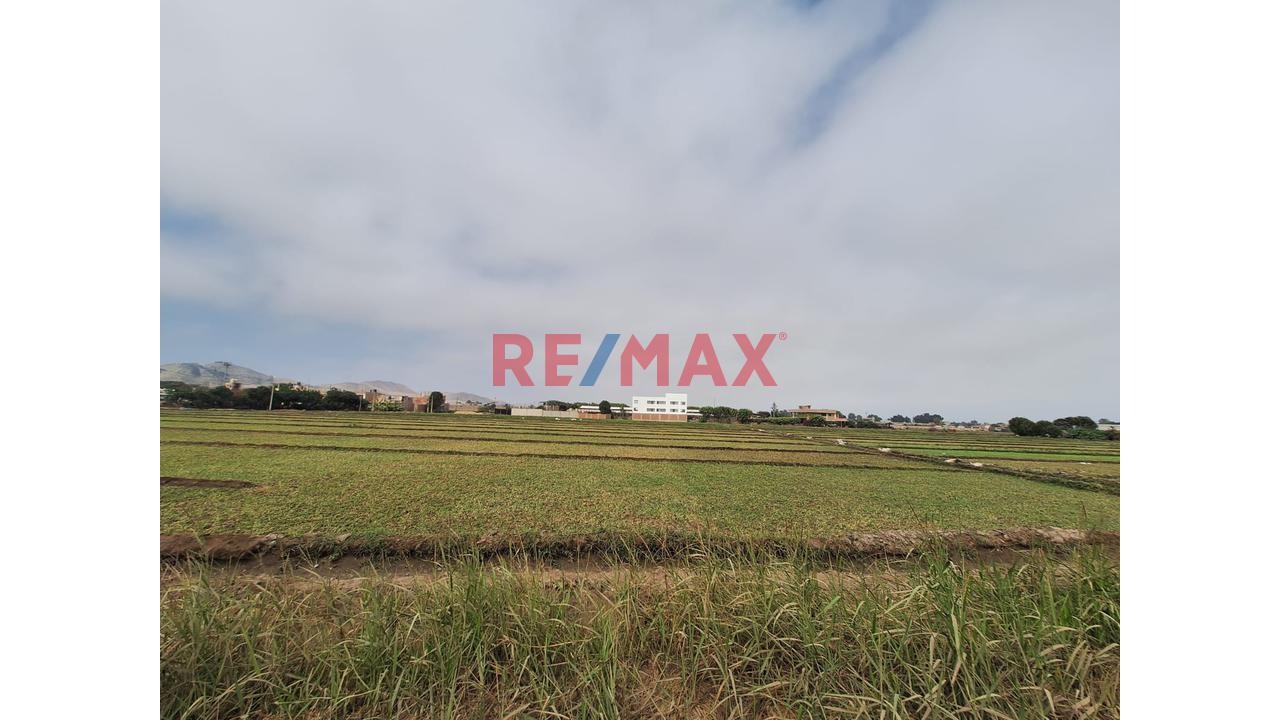 Vendo Terreno  Fundo Agricola Y/ O Industrial En Lurin