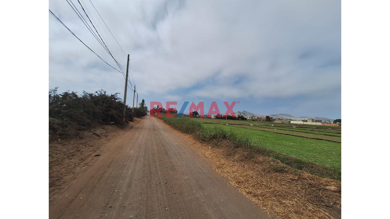 Vendo Terreno Ex Fundo En Lurin- Industrial Y/O Agricola — foto 12