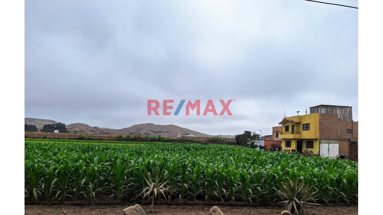 Vendo Terreno Ex Fundo En Lurin- Industrial Y/O Agricola — foto 2
