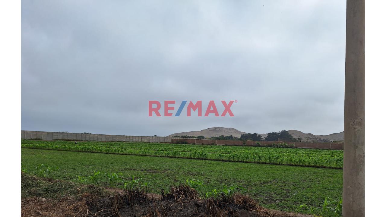 Vendo Terreno Ex Fundo En Lurin- Industrial Y/O Agricola — foto 11