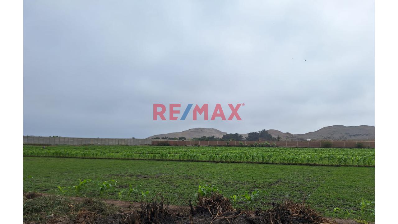 Vendo Terreno Ex Fundo En Lurin- Industrial Y/O Agricola — foto 10