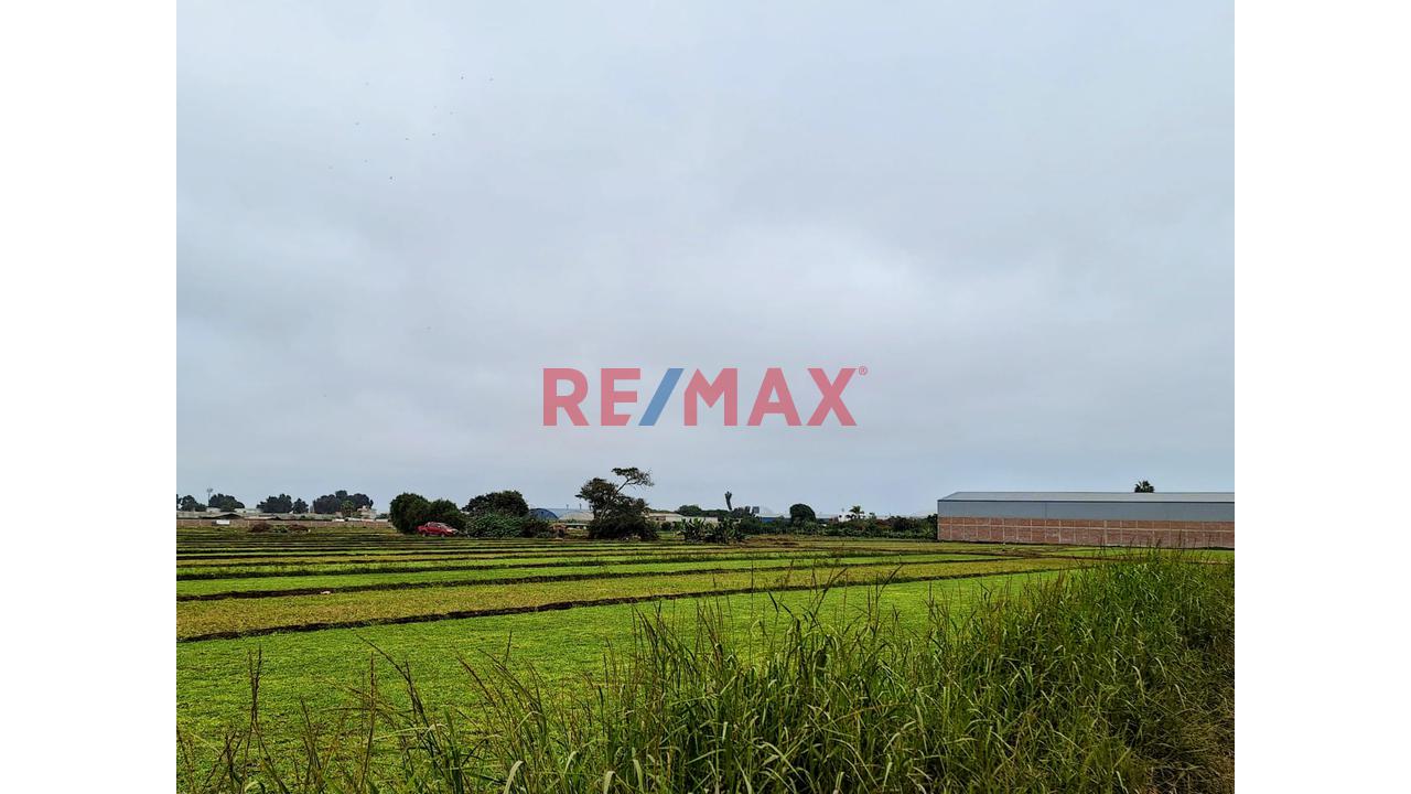 Vendo Terreno Ex Fundo En Lurin- Industrial Y/O Agricola — foto 3