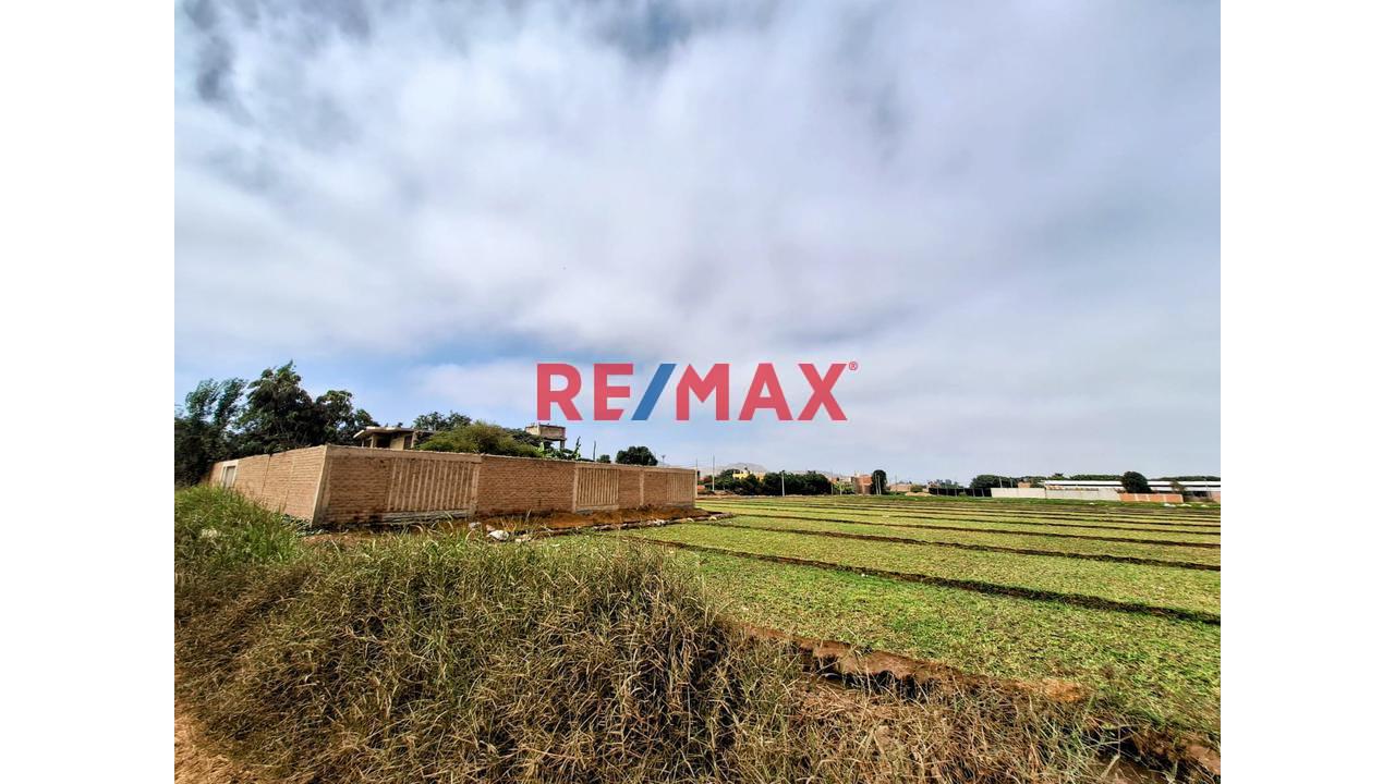 Vendo Terreno Ex Fundo En Lurin- Industrial Y/O Agricola