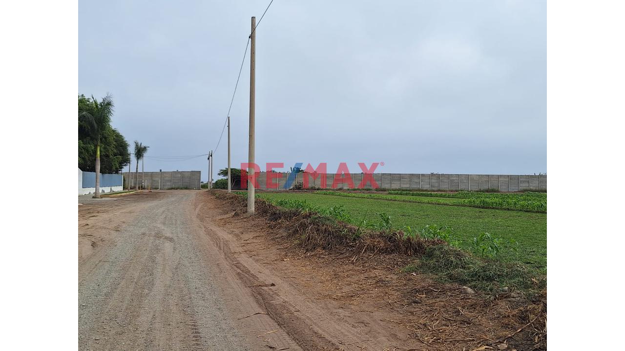 Vendo Terreno Ex Fundo En Lurin- Industrial Y/O Agricola — foto 5