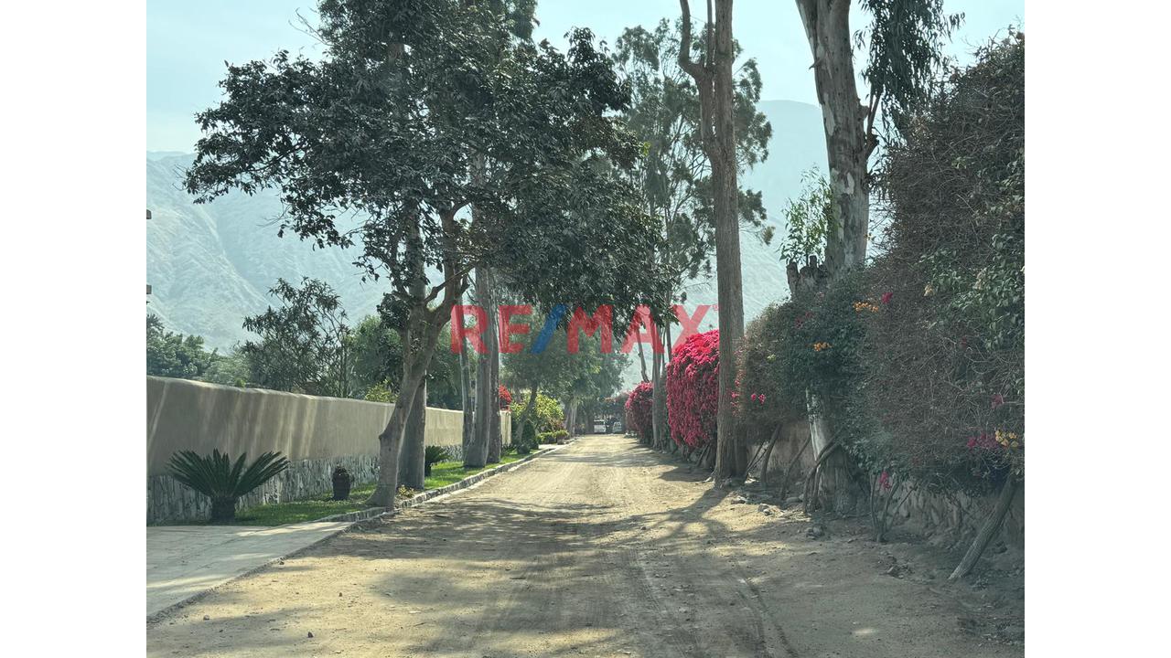 Casa Como Terreno En Condominio Exclusivo En Cieneguilla — foto 2