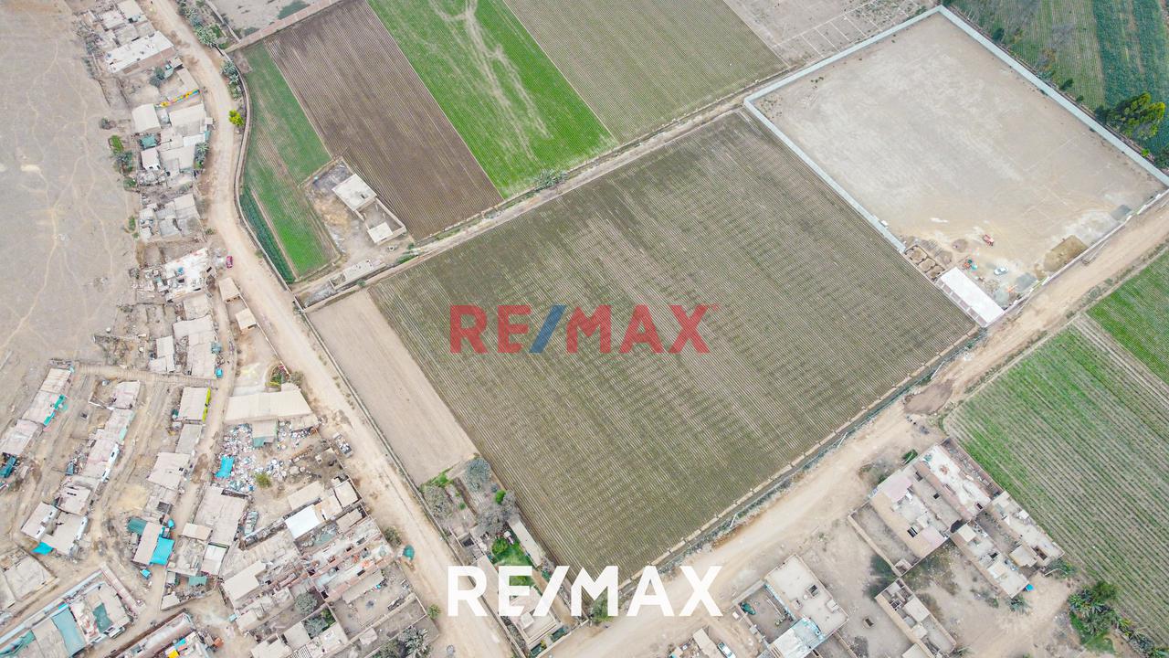 Vendo Terreno De 10,1180 M2 En Ex Fundo Chuquitanta  - San Martín De Porres (Lote 15-B3) — foto 10