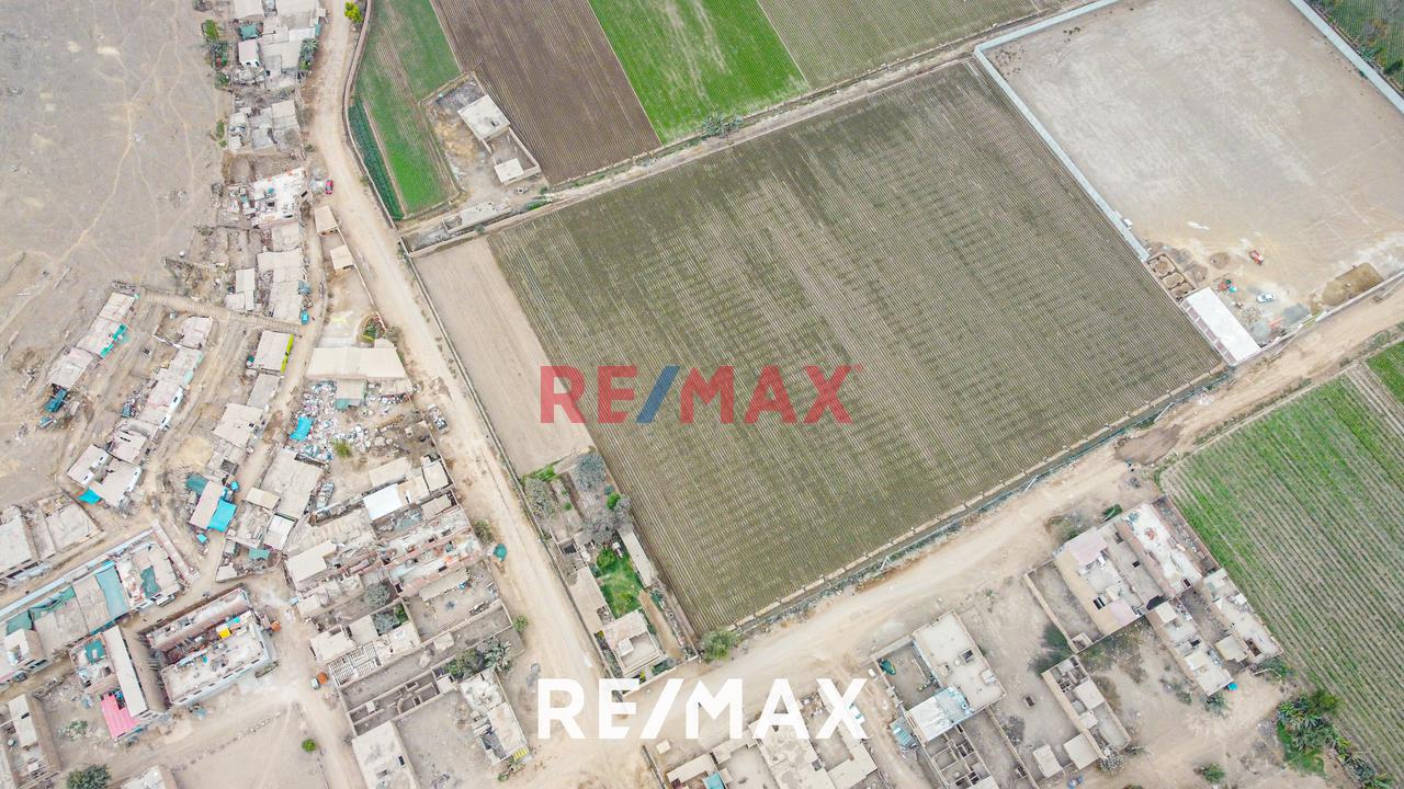Vendo Terreno De 10,1180 M2 En Ex Fundo Chuquitanta  - San Martín De Porres (Lote 15-B3) — foto 9