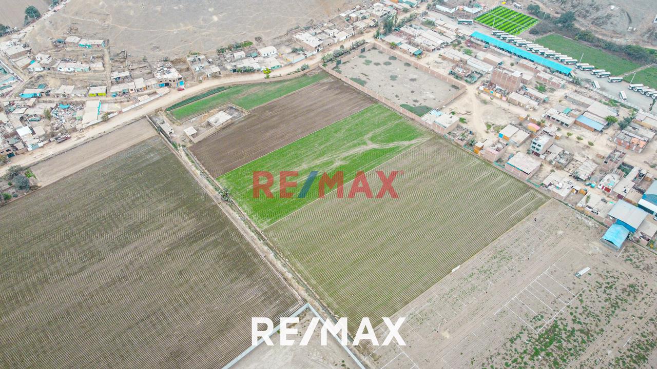 Venta De Terreno Agrícola: Ideal Para Inversores Y Agricultores — foto 13