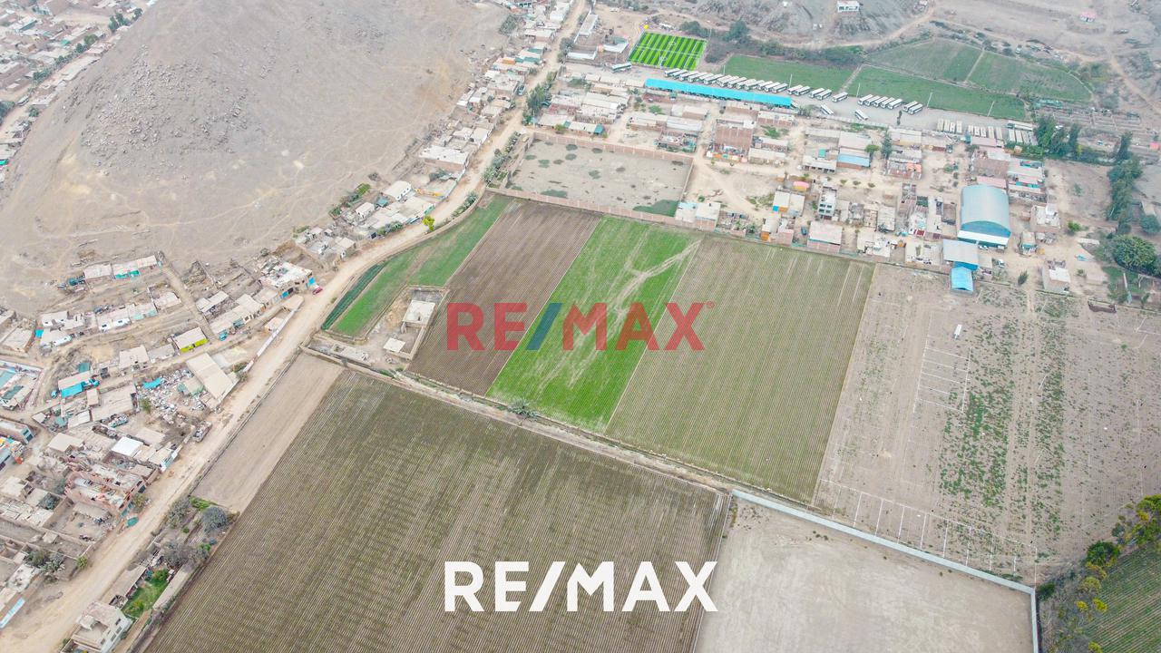 Venta De Terreno Agrícola: Ideal Para Inversores Y Agricultores — foto 14