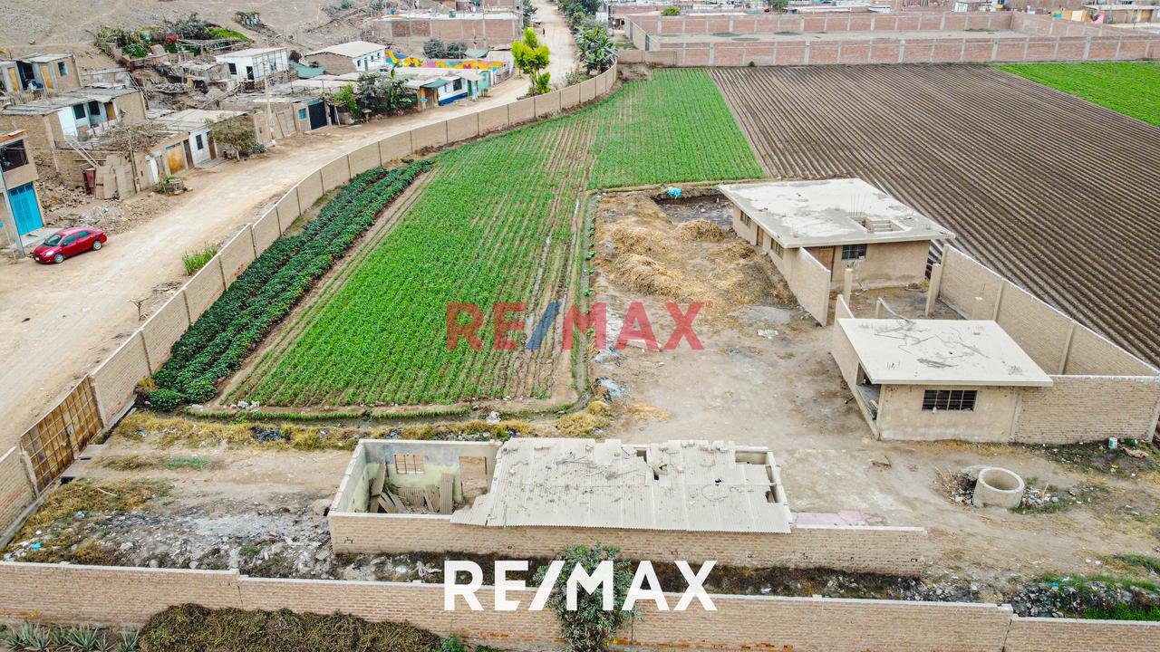 Venta De Terreno Agrícola: Ideal Para Inversores Y Agricultores — foto 7