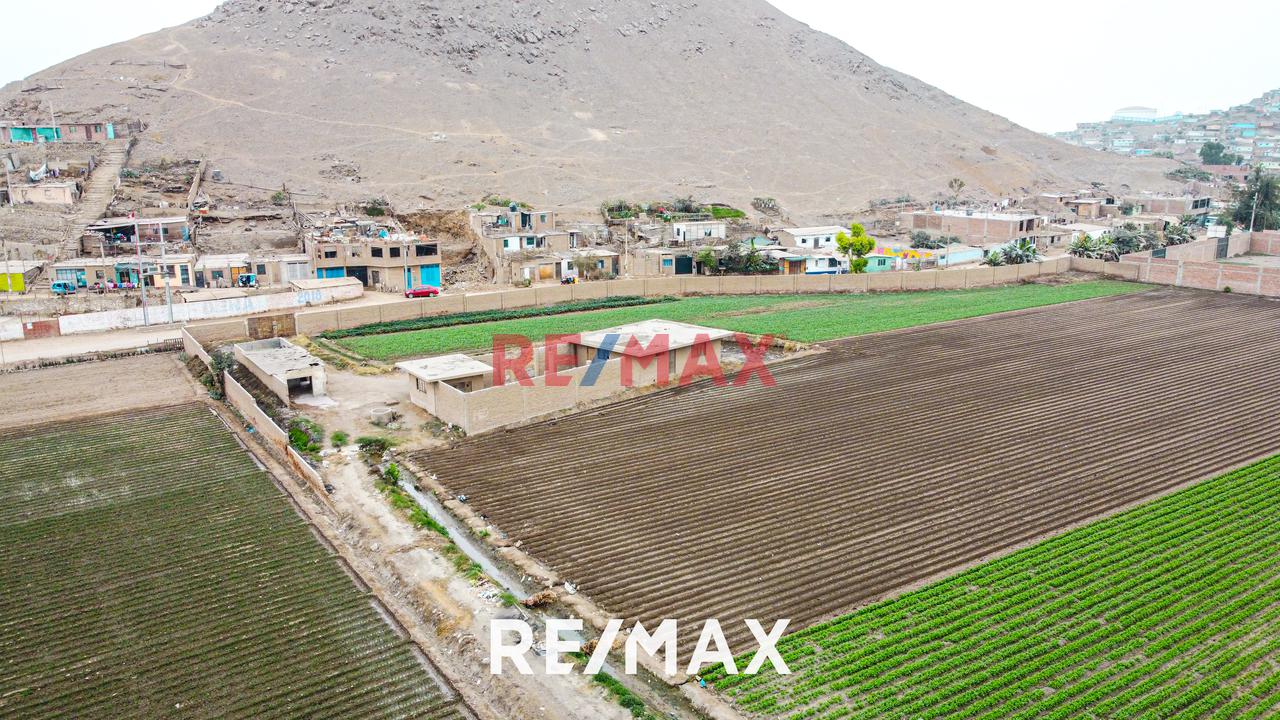 Venta De Terreno Agrícola: Ideal Para Inversores Y Agricultores — foto 12