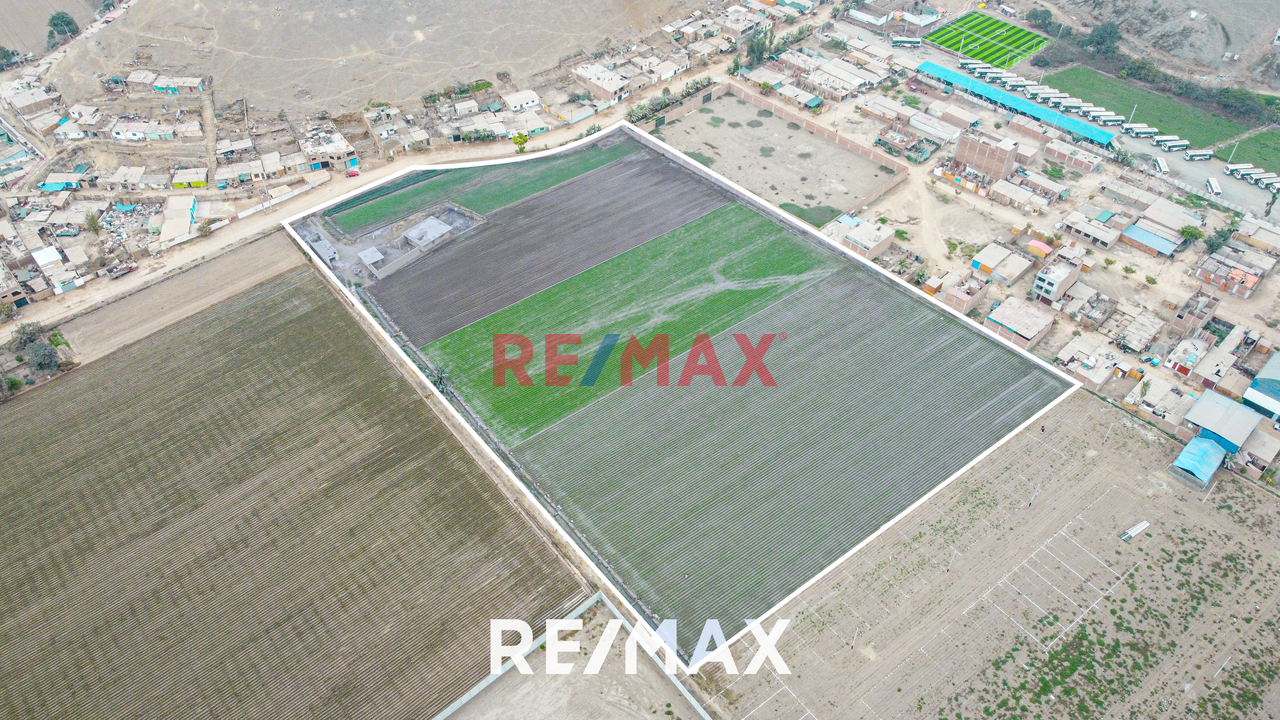 Venta De Terreno Agrícola: Ideal Para Inversores Y Agricultores — foto 4