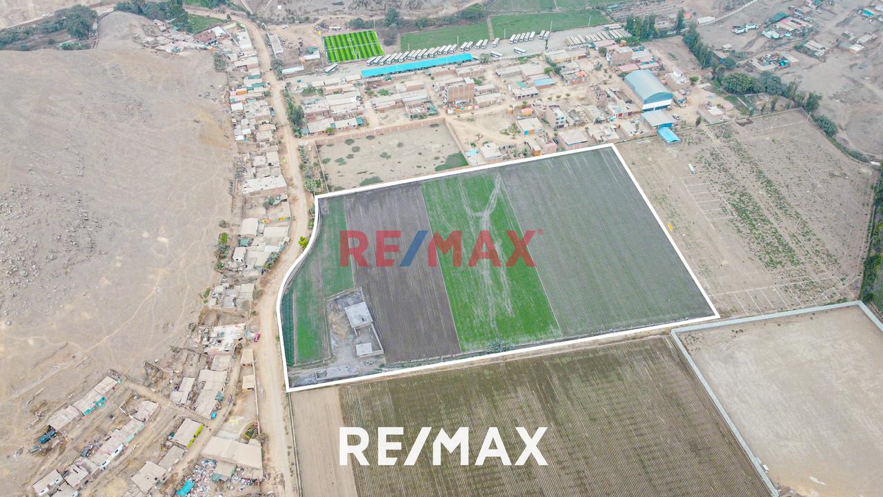 Venta De Terreno Agrícola: Ideal Para Inversores Y Agricultores