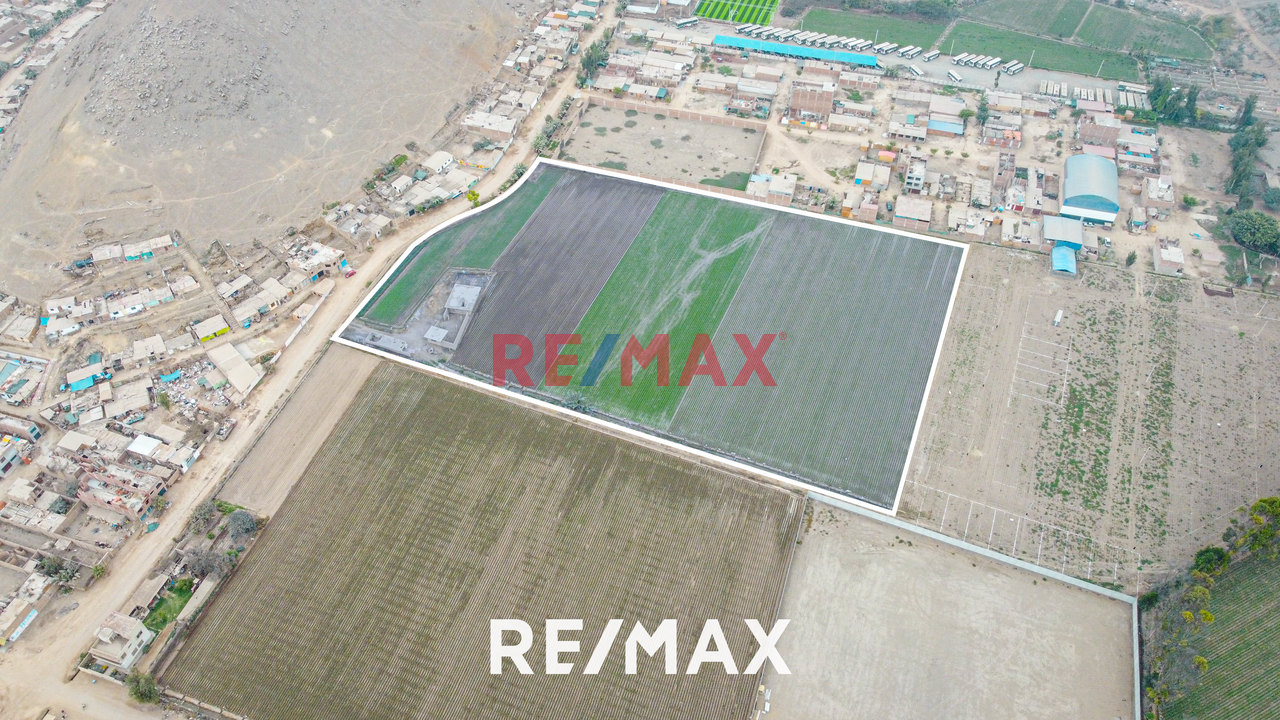 Venta De Terreno Agrícola: Ideal Para Inversores Y Agricultores — foto 5