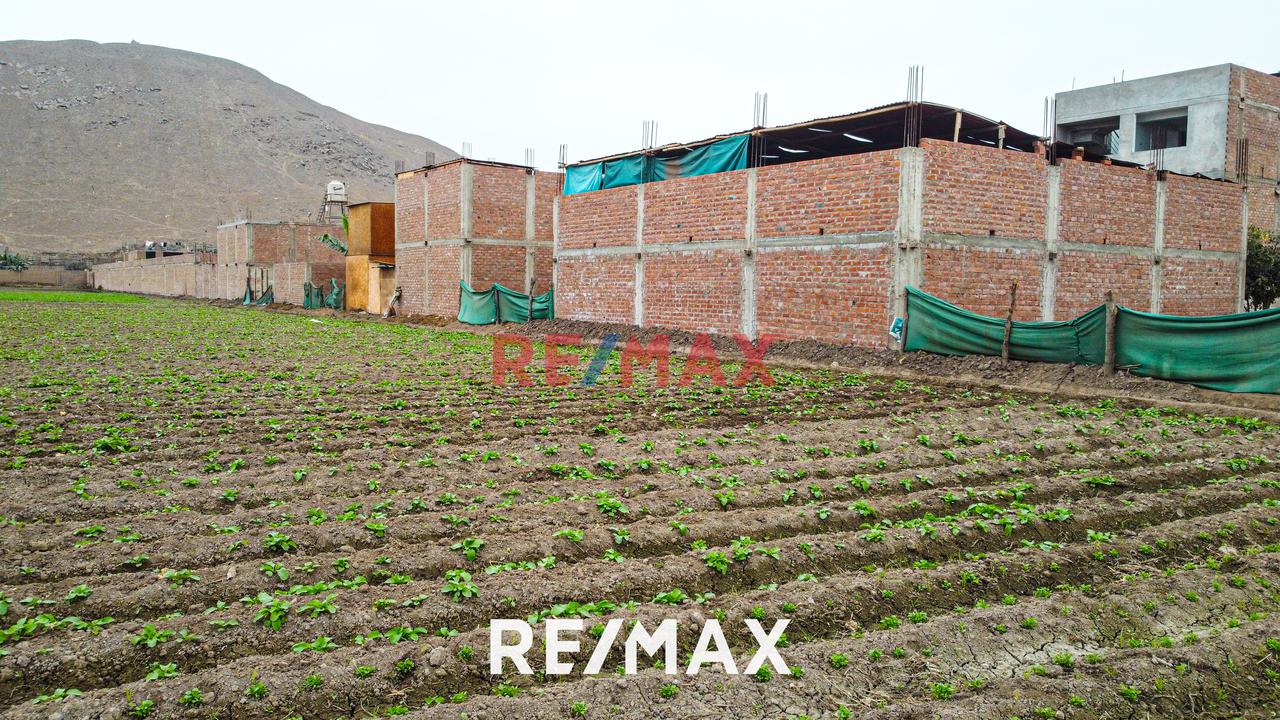 Venta De Terreno Agrícola: Ideal Para Inversores Y Agricultores - 20