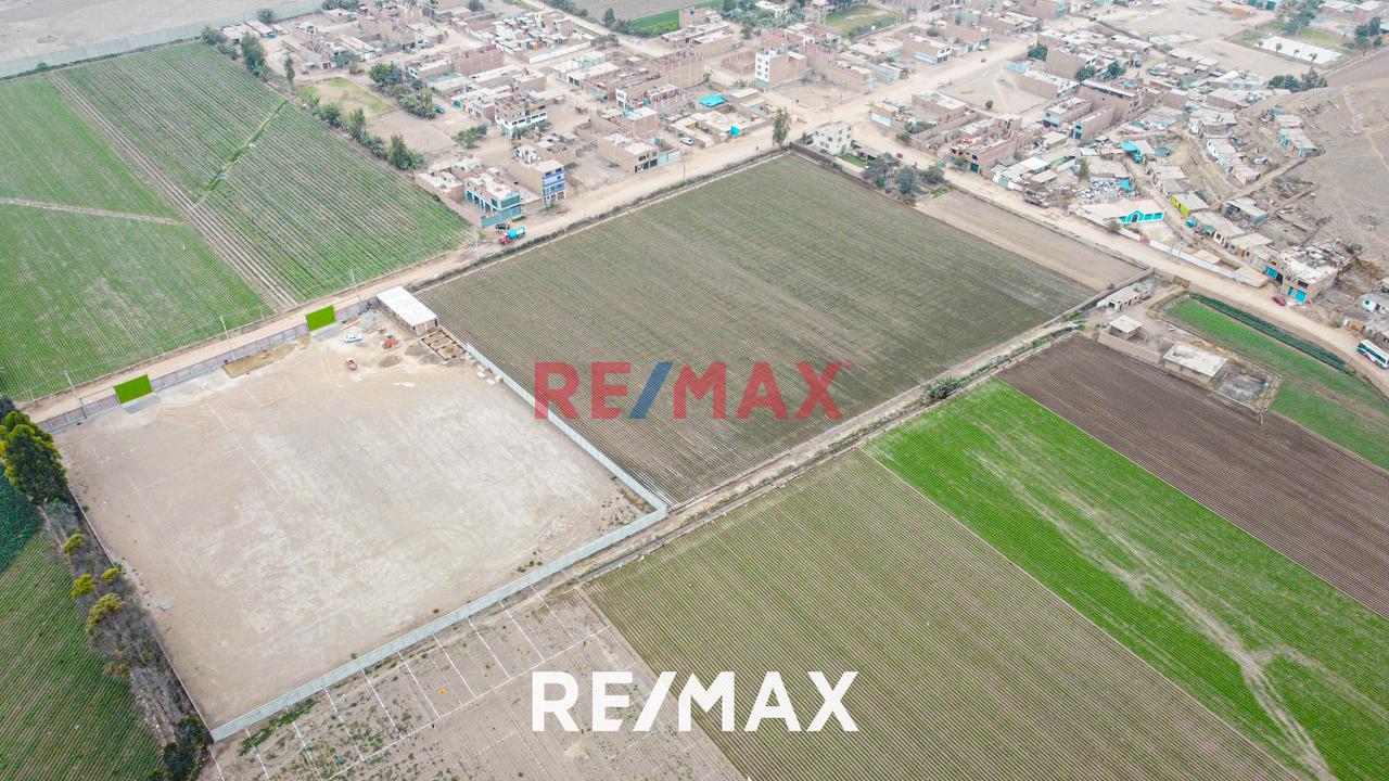 Venta De Terreno Agrícola: Ideal Para Inversores Y Agricultores - 18