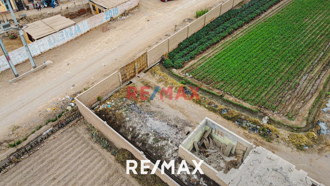 Venta De Terreno Agrícola: Ideal Para Inversores Y Agricultores — foto 9