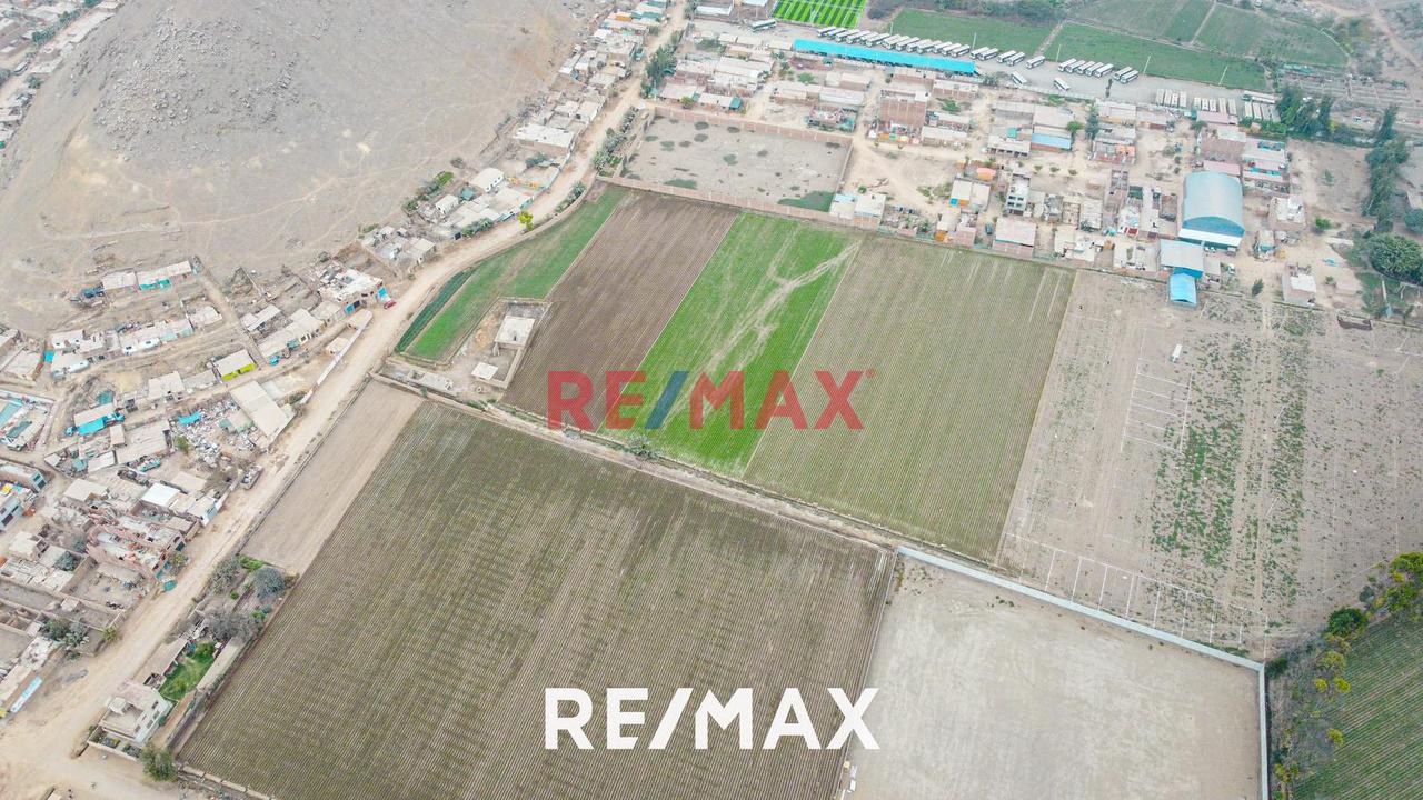Alquiler De Terreno Agrícola: Ideal Para Inversores Y Agricultores - 13