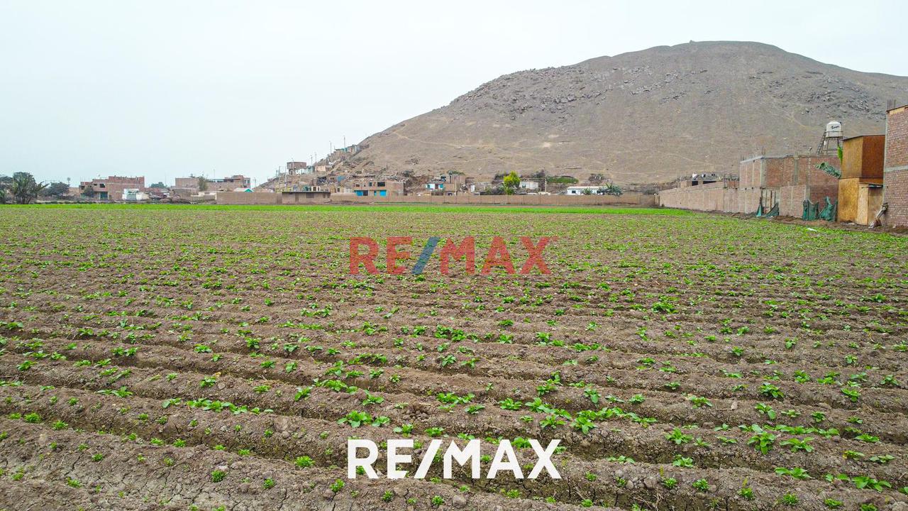 Alquiler De Terreno Agrícola: Ideal Para Inversores Y Agricultores - 8