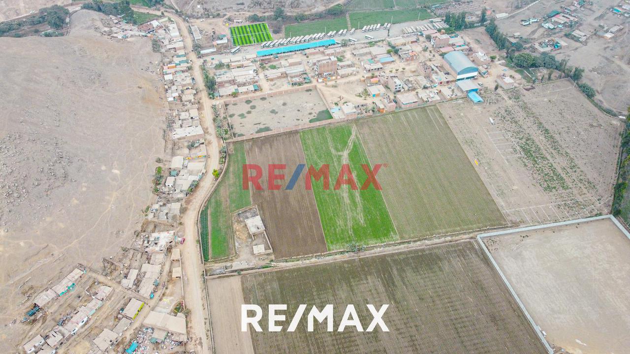 Alquiler De Terreno Agrícola: Ideal Para Inversores Y Agricultores - 12
