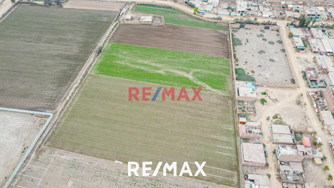 Alquiler De Terreno Agrícola: Ideal Para Inversores Y Agricultores - 4
