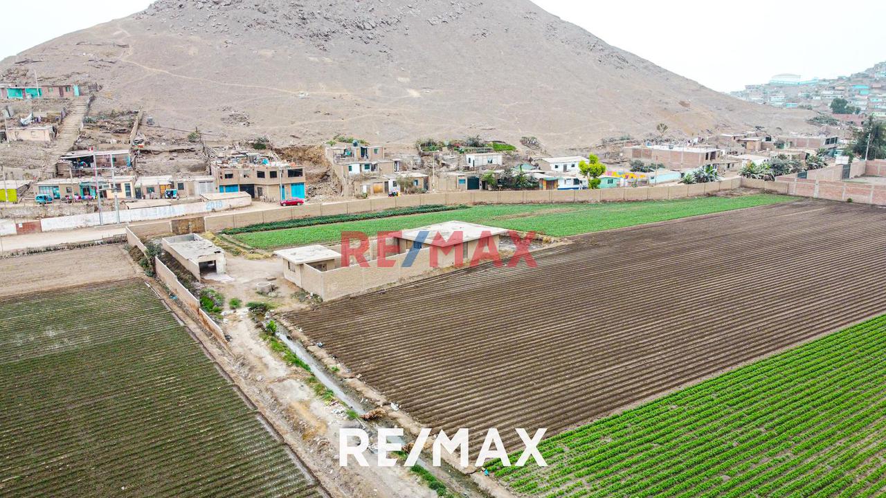 Alquiler De Terreno Agrícola: Ideal Para Inversores Y Agricultores - 15