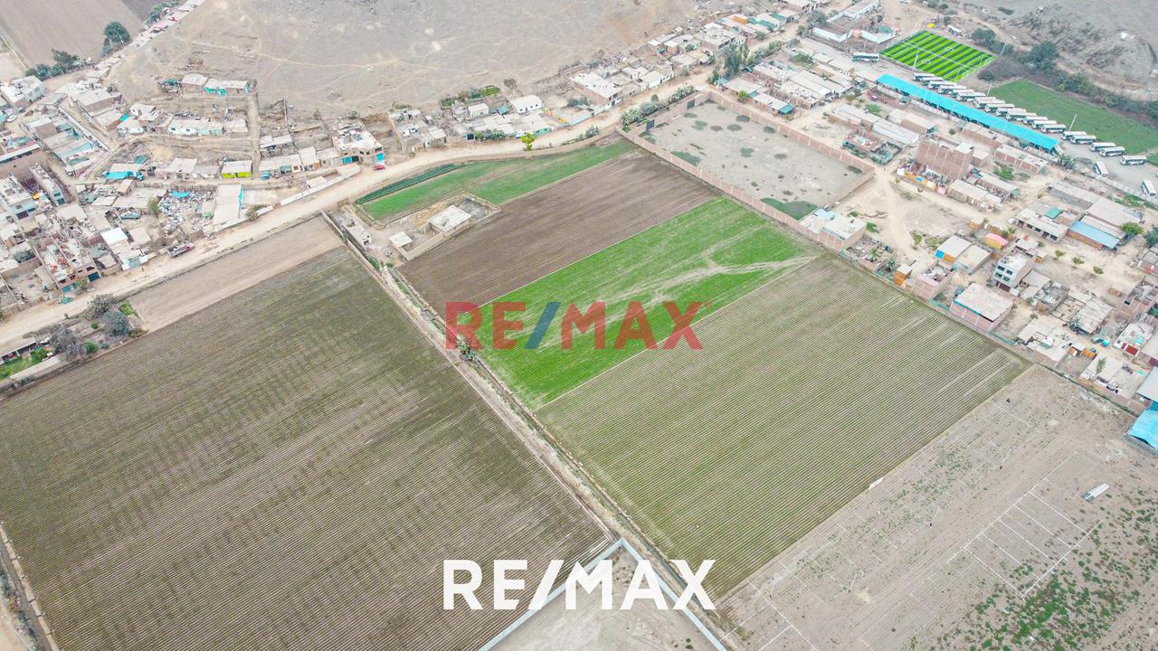 Alquiler De Terreno Agrícola: Ideal Para Inversores Y Agricultores - 17