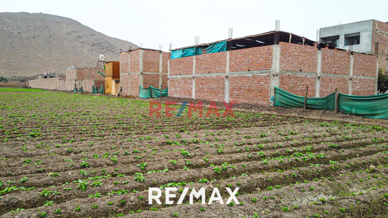 Alquiler De Terreno Agrícola: Ideal Para Inversores Y Agricultores - 9