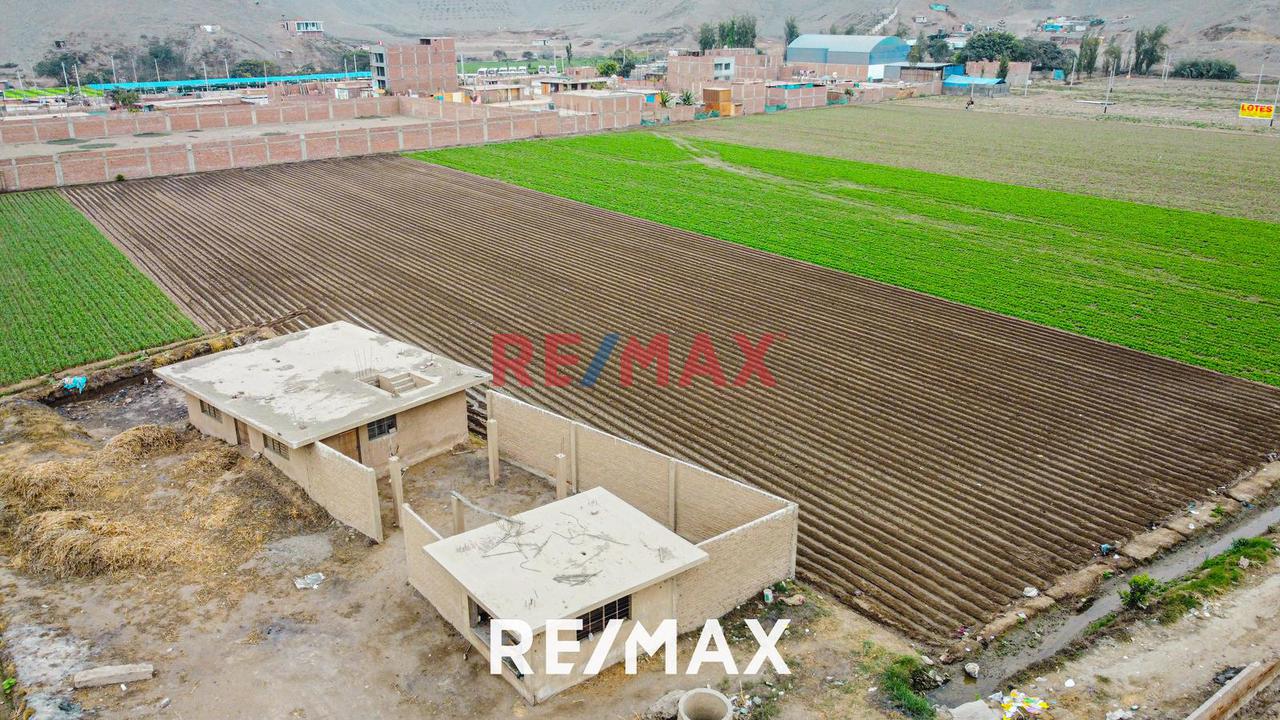 Alquiler De Terreno Agrícola: Ideal Para Inversores Y Agricultores - 20