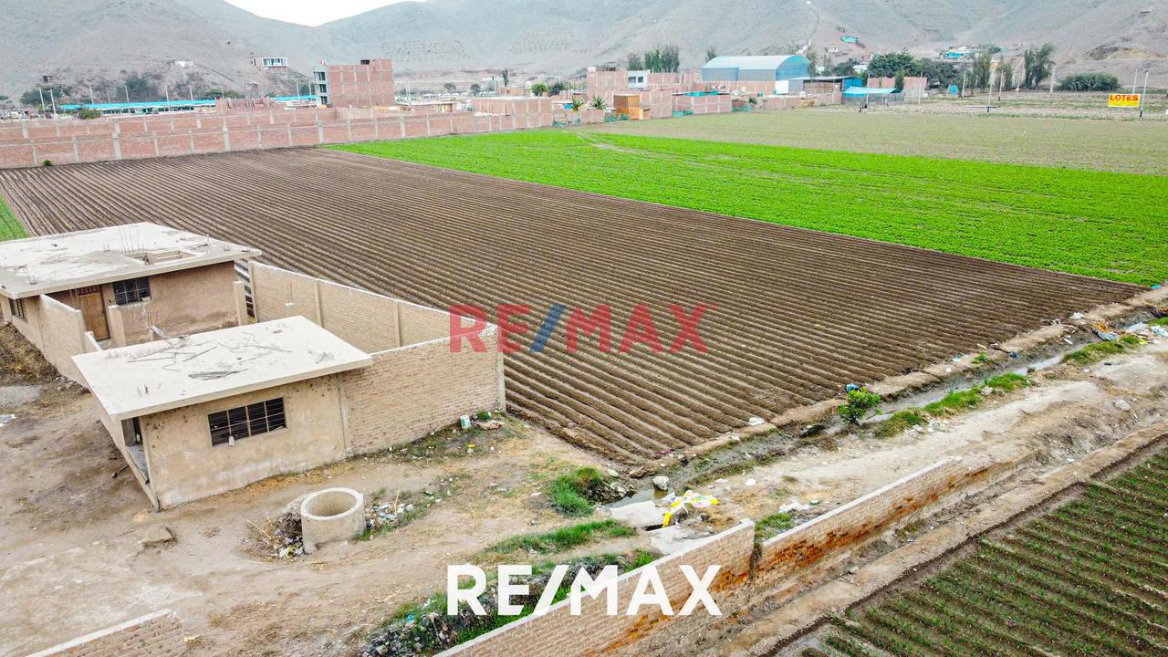 Alquiler De Terreno Agrícola: Ideal Para Inversores Y Agricultores - 3