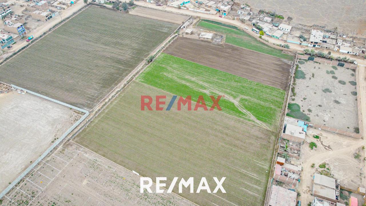 Alquiler De Terreno Agrícola: Ideal Para Inversores Y Agricultores - 1