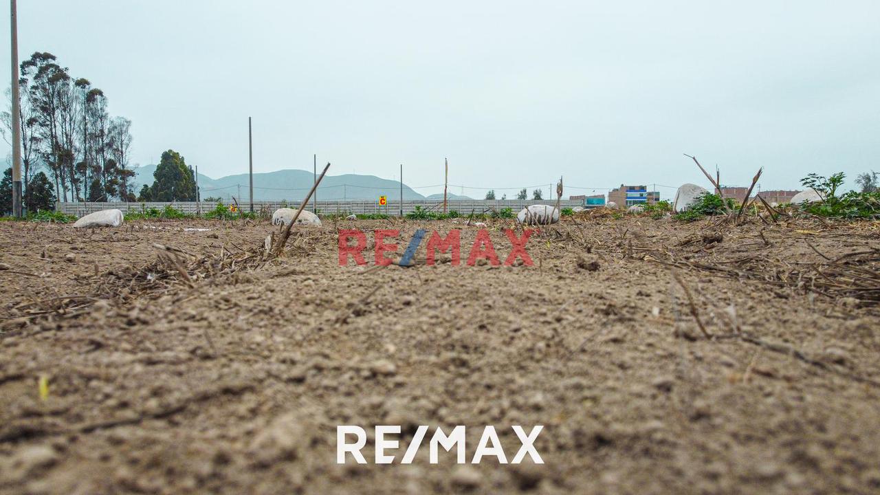 Alquiler De Terreno Agrícola: Ideal Para Inversores Y Agricultores - 7