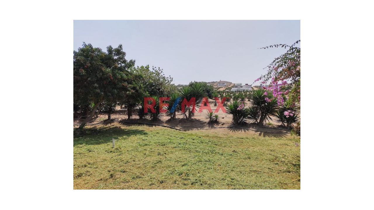 Terreno En Venta Condomio Mar Y Bosques - Punta Negra - 10