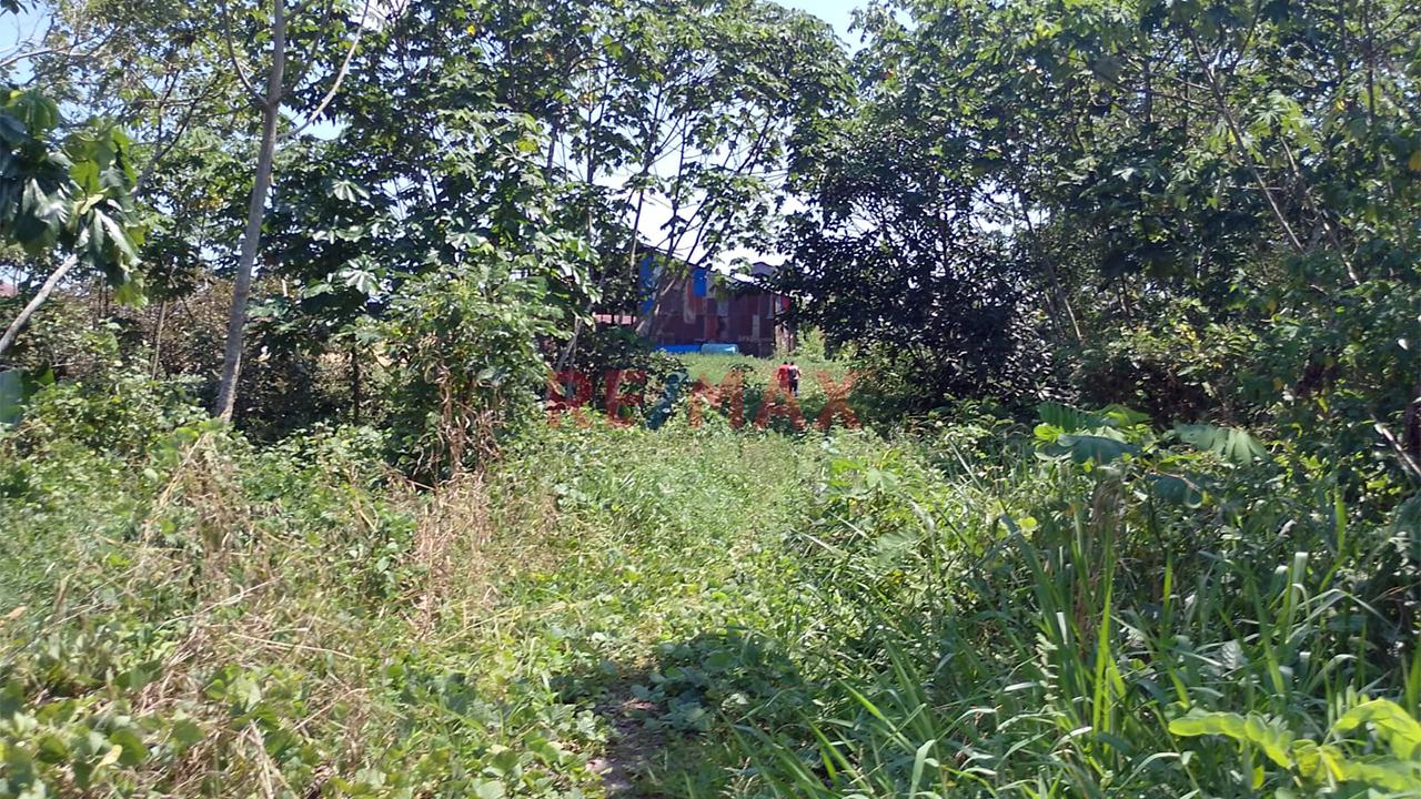 Terreno Comercial En Rumo Cocha - Carretera A Santa Clara Km.3.4 - Maynas Loreto - 4