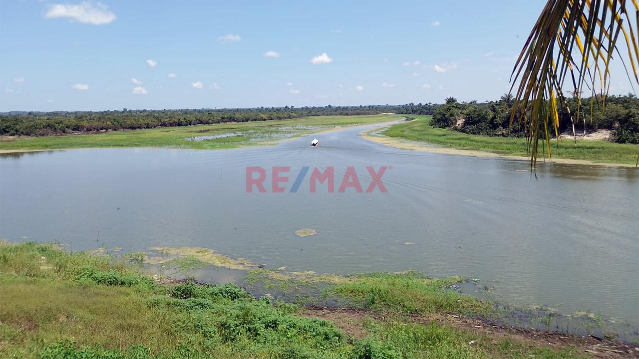 Terreno Comercial En Rumo Cocha - Carretera A Santa Clara Km.3.4 - Maynas Loreto - 14