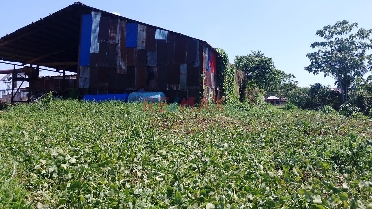 Terreno Comercial En Rumo Cocha - Carretera A Santa Clara Km.3.4 - Maynas Loreto - 8