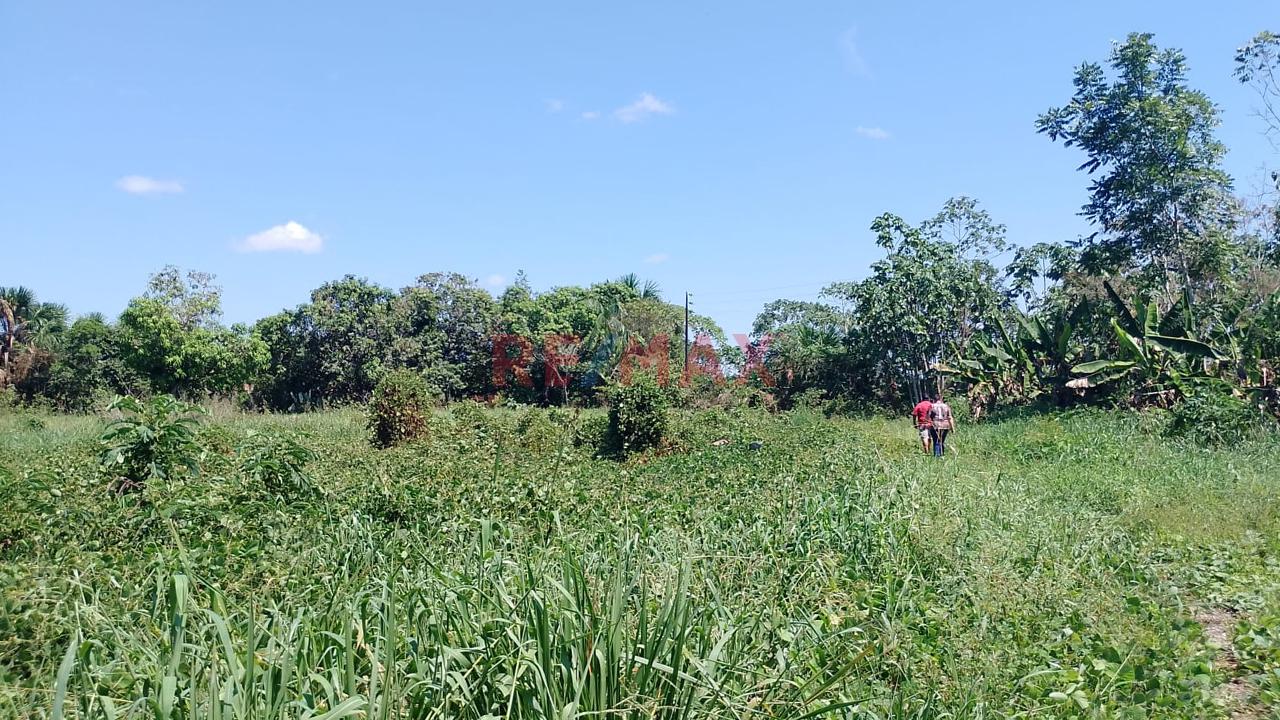Terreno Comercial En Rumo Cocha - Carretera A Santa Clara Km.3.4 - Maynas Loreto - 10