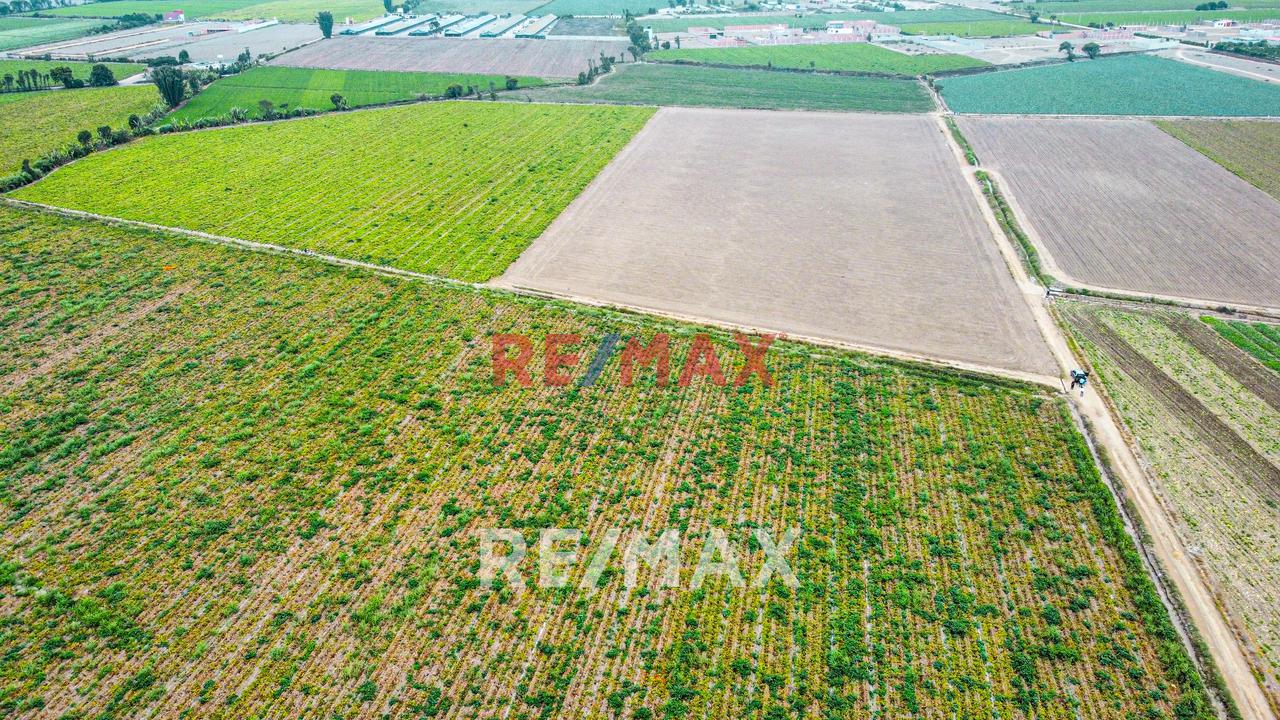 Venta De Terreno En Aucullama - 4