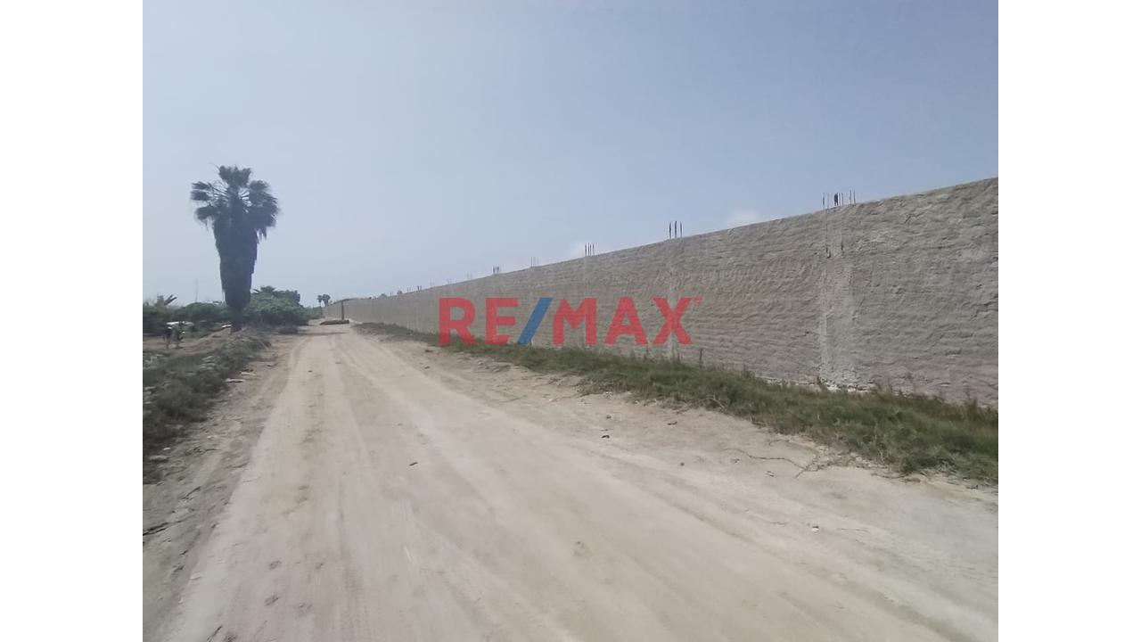 Terreno Para Almacen En Aucallama A Pocos Metros Del Mar , Cerca Al Mega Puerto De Chancay - 1