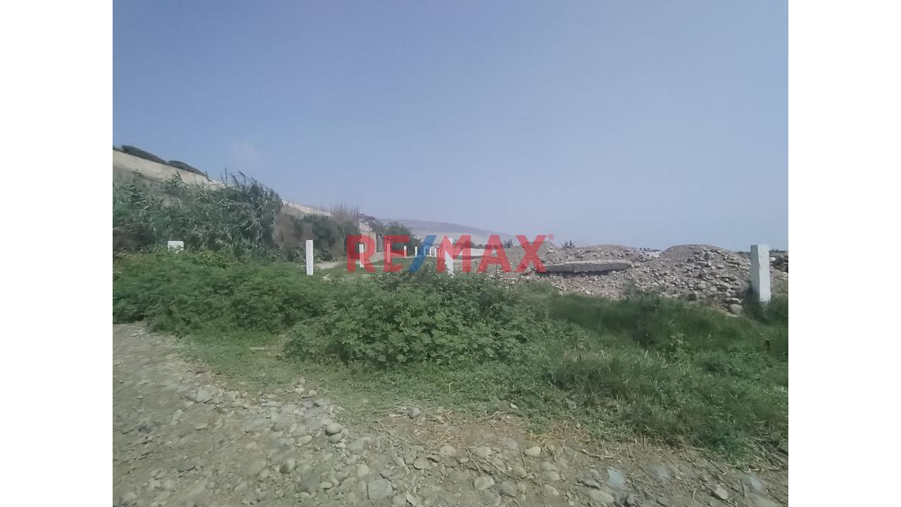 Terreno Para Almacen  En Aucallama A Pocos Metros Del Mar , Cerca Al  Mega Puerto De Chancay - 3